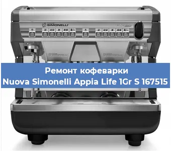Чистка кофемашины Nuova Simonelli Appia Life 1Gr S 167515 от накипи в Москве